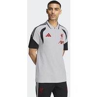 Adidas Mens Liverpool Fc Training Polo - Grey