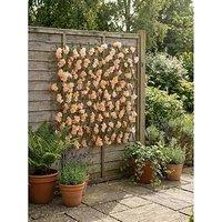 Scottish Everlastings 170X90Cm Peach Blossom Trillis With Solar Lights