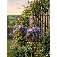 Scottish Everlasting Set Of 2 Lilac Hanging Baskets