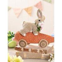 Bristle Bunny Riding Carrot Car