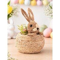 Bristle Bunny In A Basket