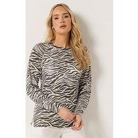 Long Tall Sally Lightweight Zebra Print Jumper - Cream