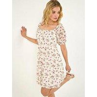 Roman Dusk Lace Rose Print Dress
