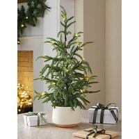 The Very Collection 60 Cm Prelit Christmas & Tree In & A Pot