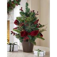 The Very Collection 60Cm Pinecones And Red Berries Potted Table Top Christmas & Tree
