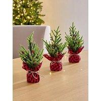 The Very Collection Set 3 25Cm Table Top Trees