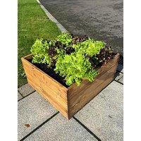 Charles Taylor Country Kitchen Large Raised Bed