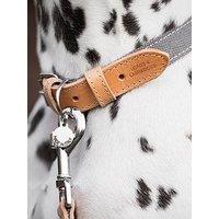 Lords And Labradors Lords & Labradors Essentials Twill Collar Slate Xl - Extra Small