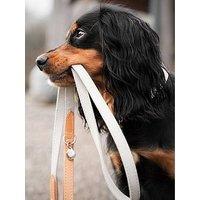 Lords And Labradors Lords & Labradors Essentials Twill Collar Linen M - Extra Small