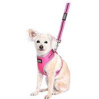 Doog Neoflex Dog Harness Lady - Large With Clipit Lead