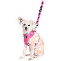Doog Neoflex Dog Harness Lady - Medium With Clipit Lead