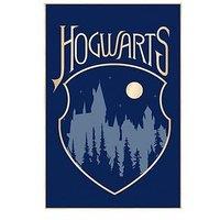 Harry Potter Hogwarts Coral Panel Blanket 100X150Cm