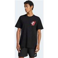 Adidas Mens Predator Graphic T-Shirt - Black