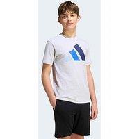Adidas Sportswear Junior Logo T-Shirt - Grey