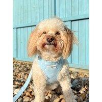 Cocopup Blue Heartstrings Cord Adjustable Neck Harness - Small