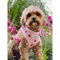Cocopup Strawberry Picnic Pup Adjustable Harness - Extra Small