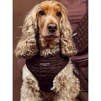 Cocopup Espresso Quilted Adjustable Neck Harness - Large