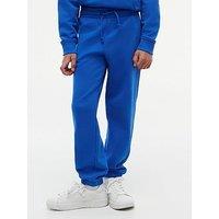 Tommy Hilfiger Boys Flag Heritage Sweatpant - Blue