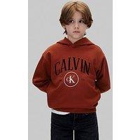 Calvin Klein Jeans Boys Ck Circle Hoodie - Brown