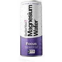 Betteryou Mag Water Focus - Blueberry & Mint - 12 X 250Ml