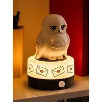 Harry Potter Hedwig Room Guard