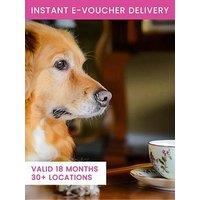 Activity Superstore Afternoon Tea For Two - Dog Friendly Venues