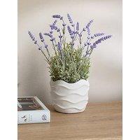 The Very Collection 33Cm Lavender In Wavy Cement Pot
