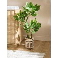 The Very Collection 90Cm Fig Tree In Bamboo Basket