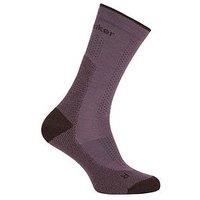 Icebreaker Womens Merino Hiking Ultralight Crew Socks - Purple