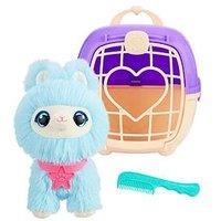 Scruff-A-Luvs Scruffaluvs Pet Scruffs - Assorted Colors Single Pack