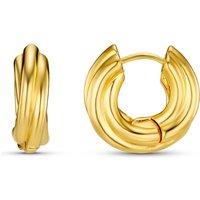Orelia Chubby Intertwined Hoop Earrings