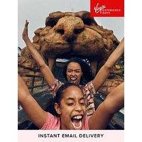 Virgin Experience Days Chessington World Of Adventures Visit For Two, Surrey