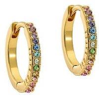 Ted Baker Heplie: Crystal Hoop Earrings (14Mm)