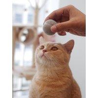 Cheerble Cheerble Ball M1 Grey