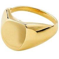 Pilgrim Presence - Waterproof Ring Gold-Plated