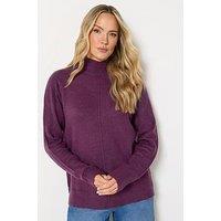 Long Tall Sally Turtle Neck Jumper - Purple