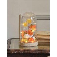 Lights4Fun Autumnal Glass Dome