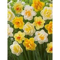 You Garden Narcissus Double Classic Mixed - 15 Bulbs