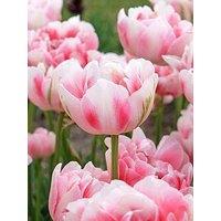 You Garden Tulip Finola - 10 Bulbs