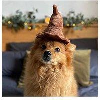 Bark Sorting Hat Dog Toy