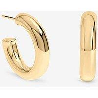 Inicio Gold Chubby Medium Hoop Earrings