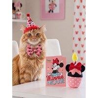 Minnie Mouse Minnie Birthday Set