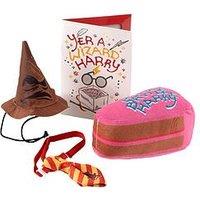 Harry Potter Birthday Set