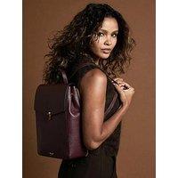 Luella Grey Casey Laptop Backpack In Black Cherry