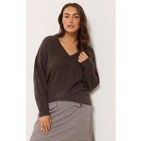 Yours Curve V Neck Soft Touch Jumper - Brown