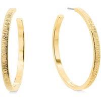 Calvin Klein Women'S Sophisticated Texture Gold Plated Earrings