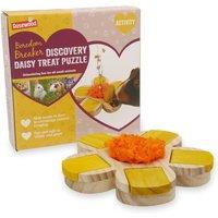 Rosewood Bb Discovery Daisy Treat Puzzle