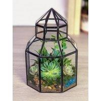 Panacea Glass Conservatory Terrarium