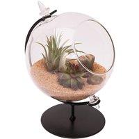 Panacea Desktop Glass Terrarium Planter And Metal Stand