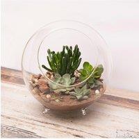 Panacea Large Glass Terrarium Sphere